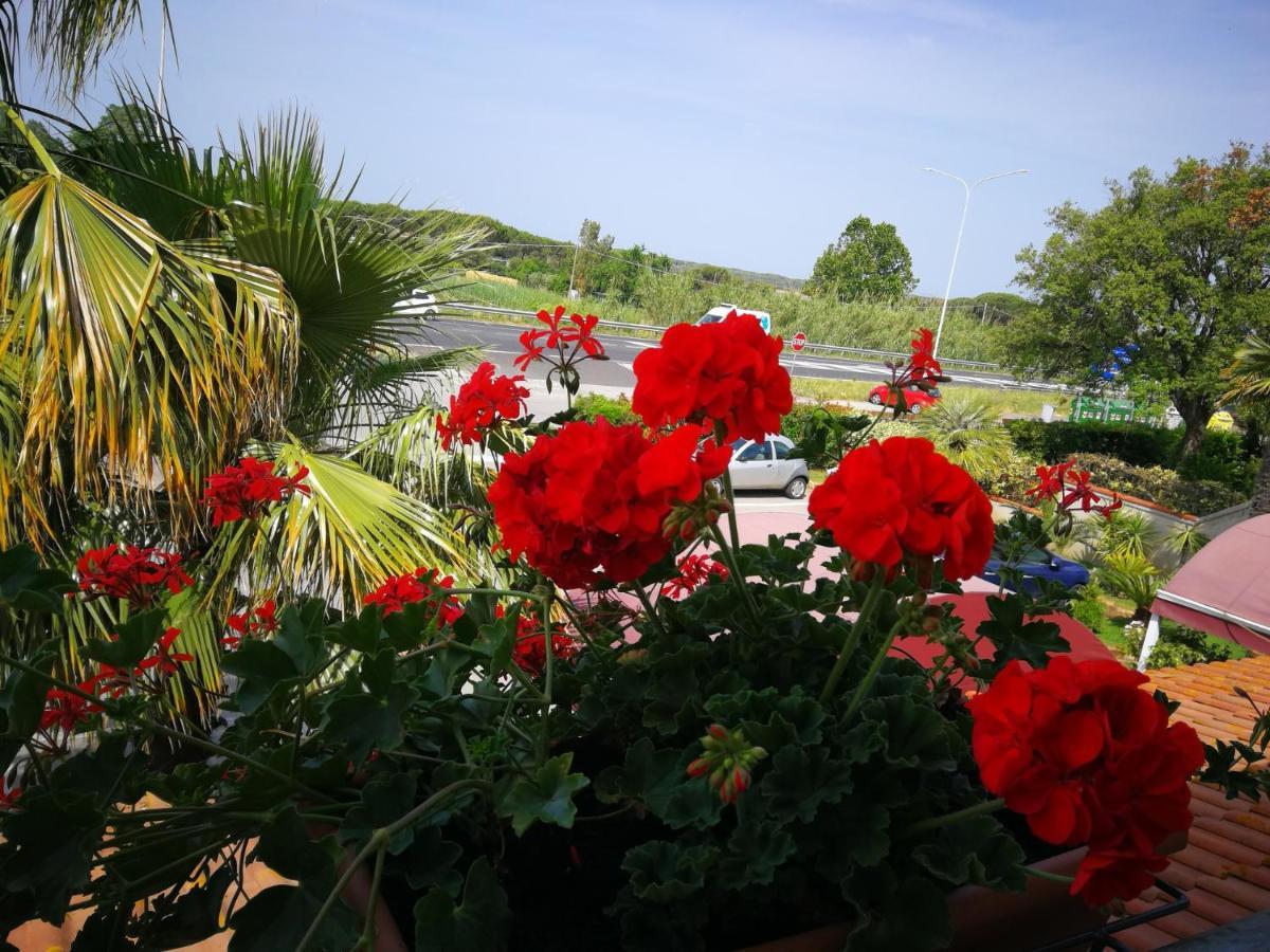 La Rosa Dei Venti 3* Albinia