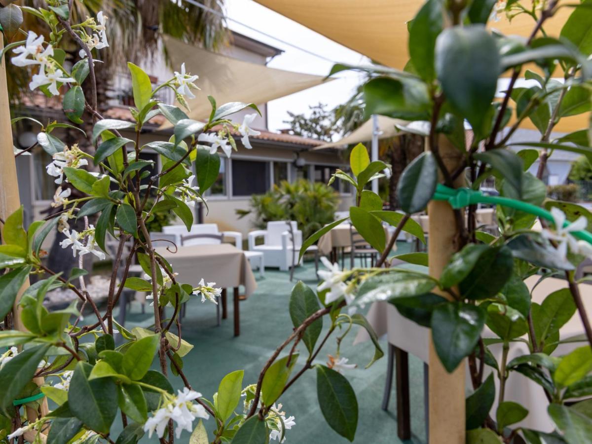 Hotel La Rosa Dei Venti Albinia