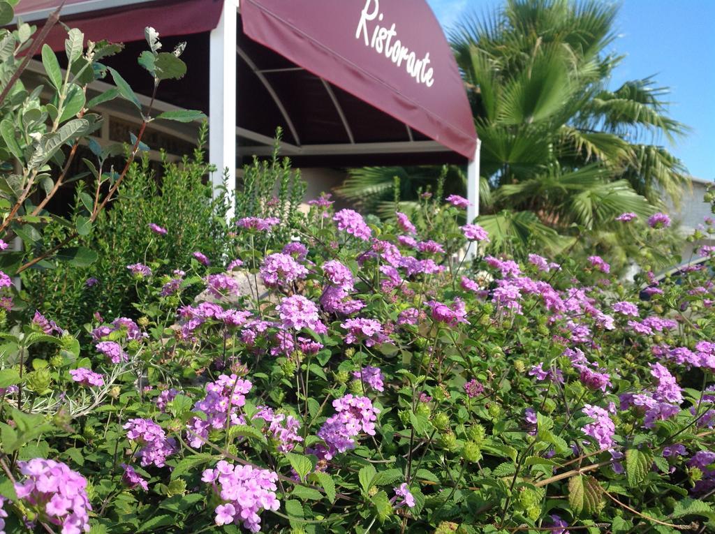 La Rosa Dei Venti Hotel Albinia